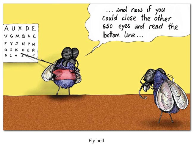 Εικόνα επιλογής