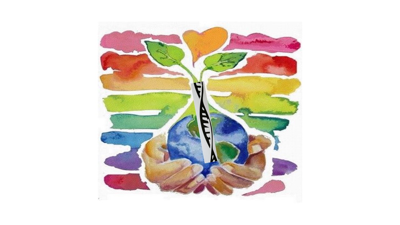 Εικόνα επιλογής