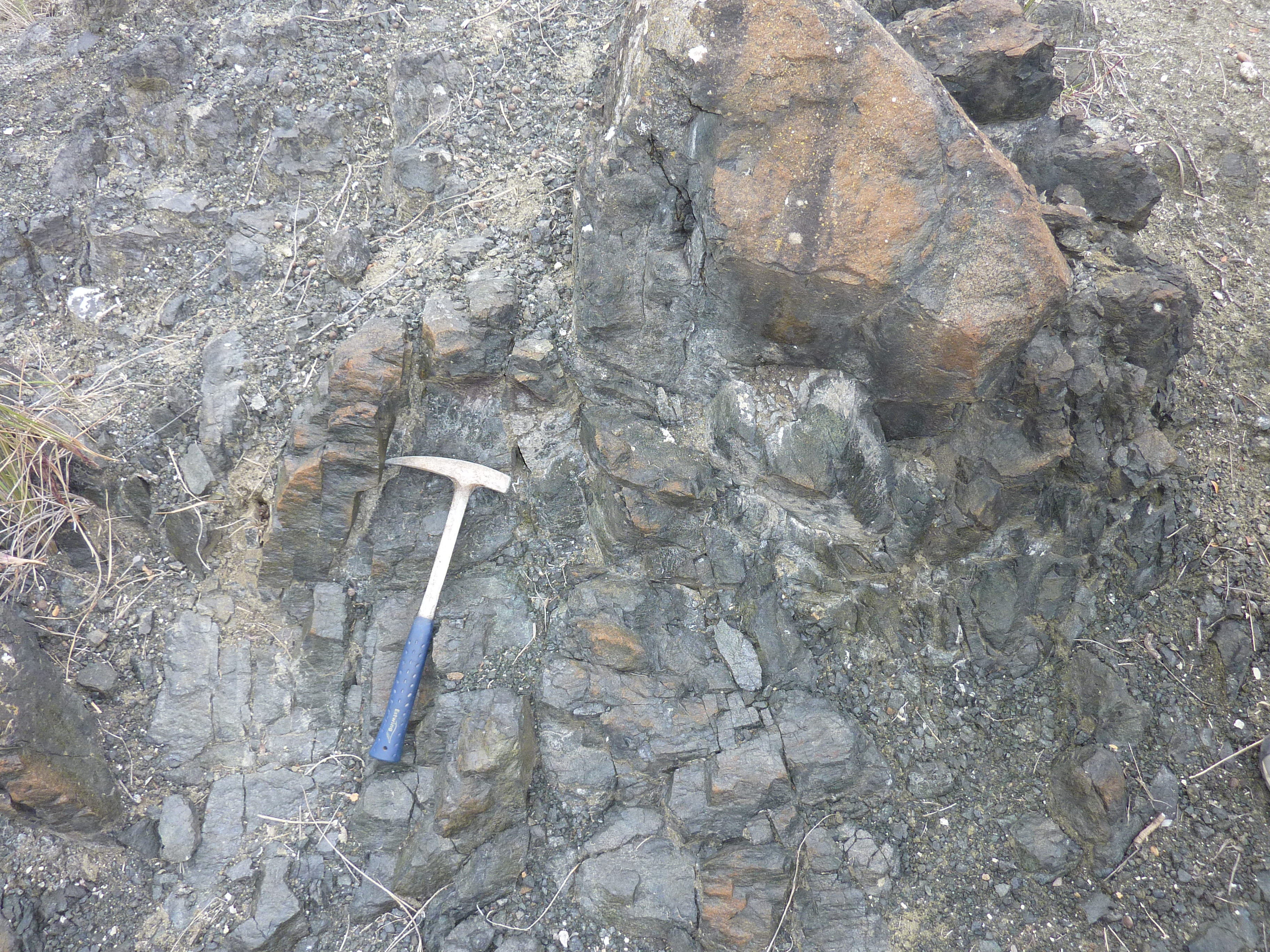 Εικόνα επιλογής