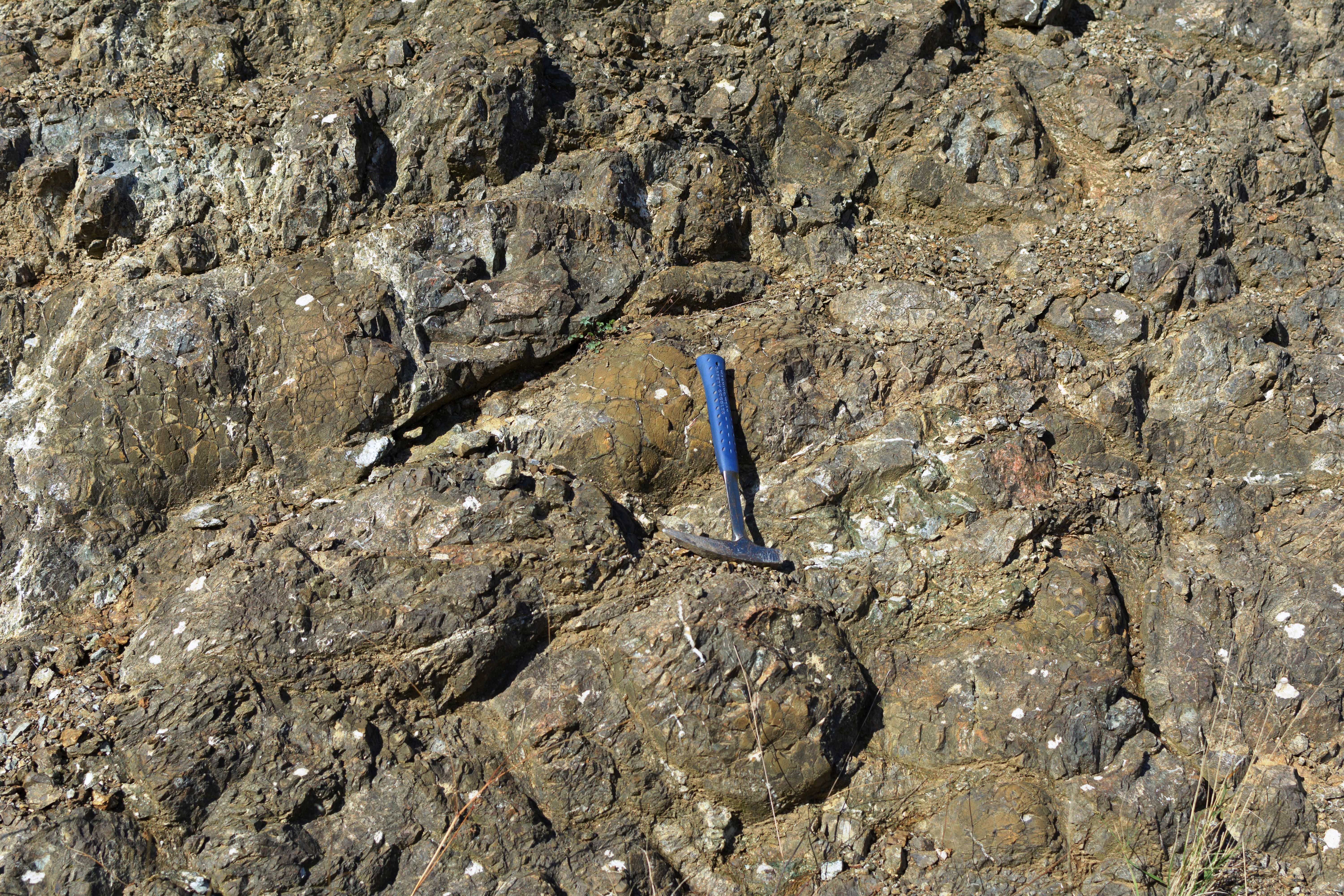 Εικόνα επιλογής