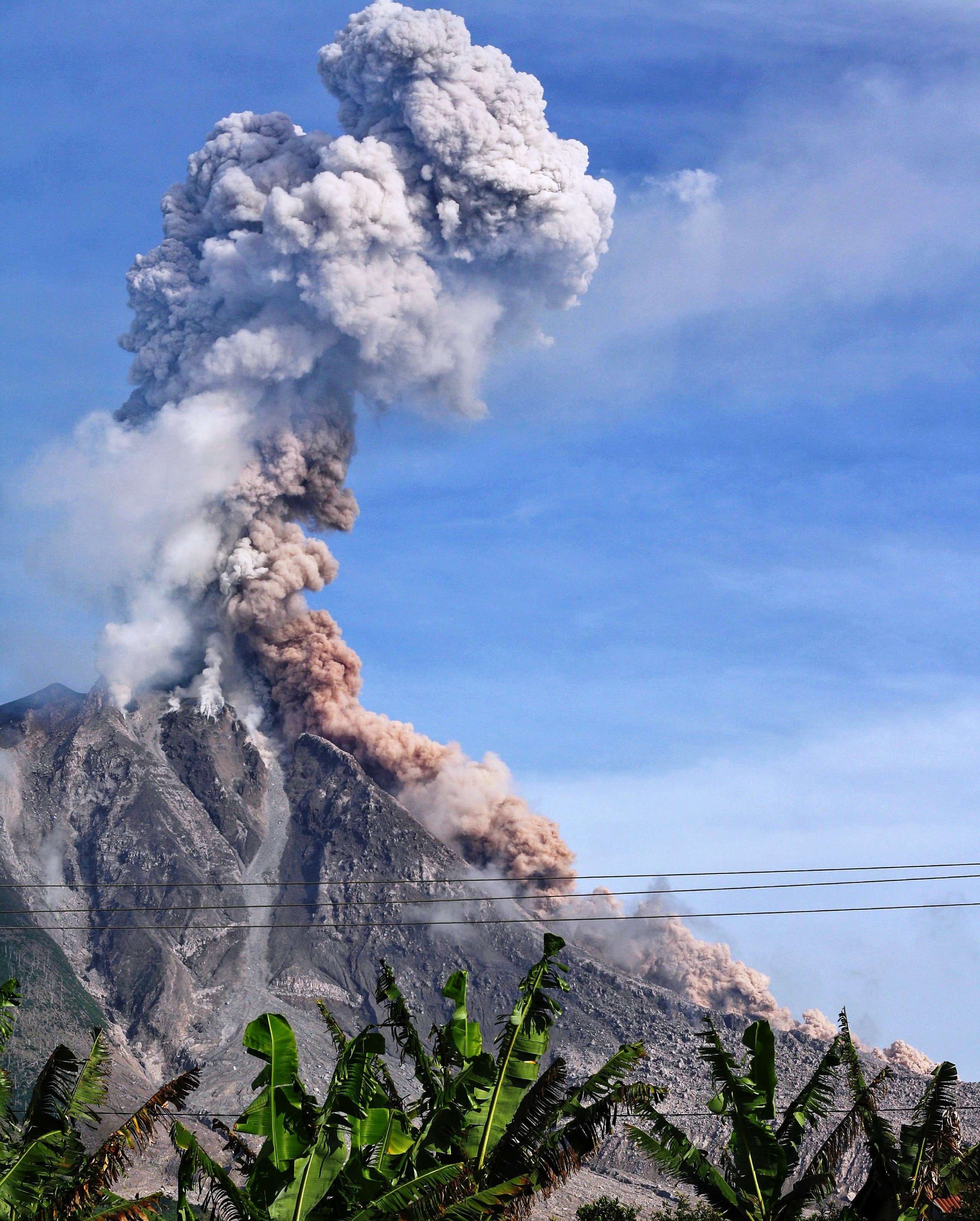 Εικόνα επιλογής