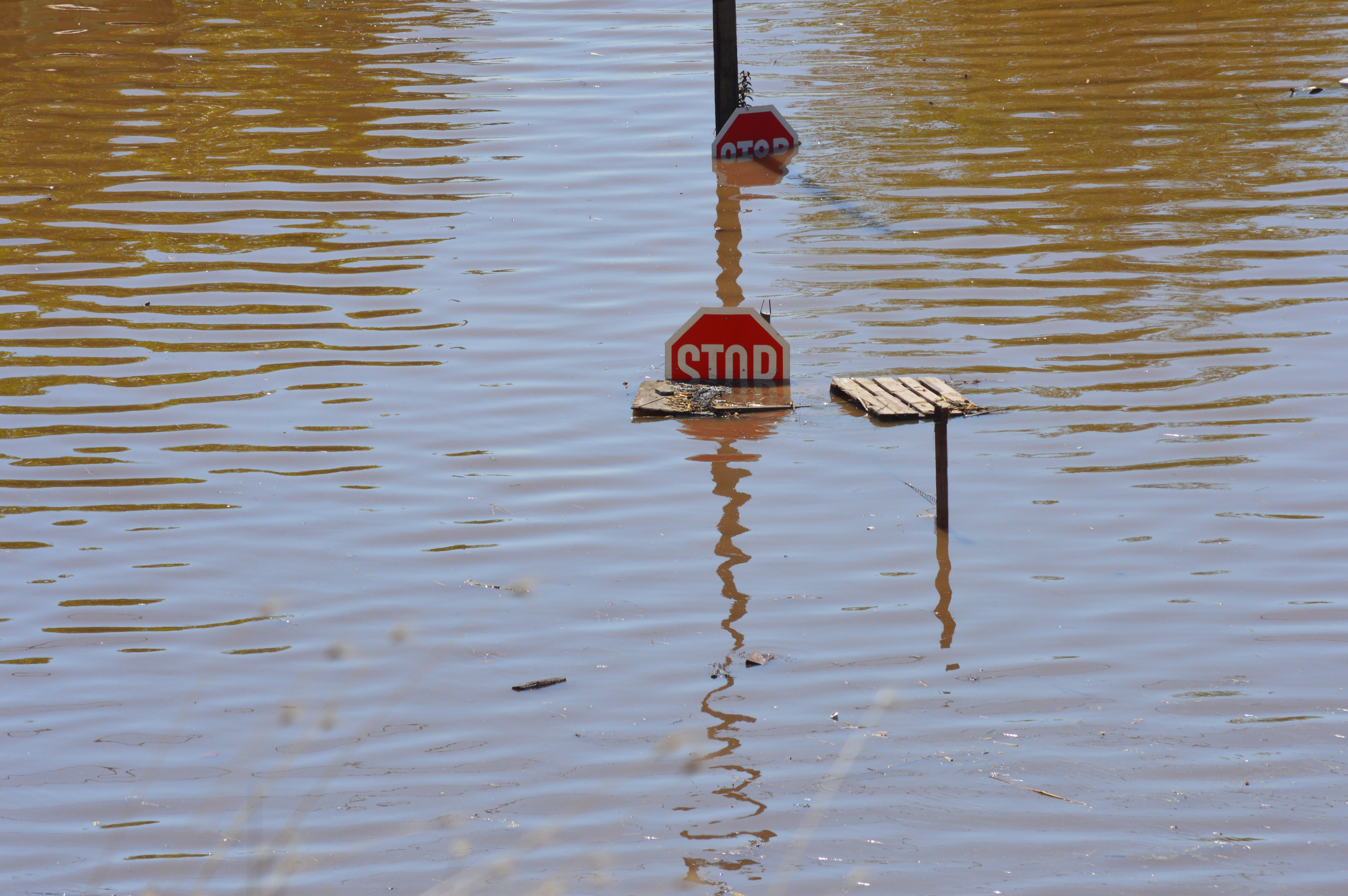 Εικόνα επιλογής