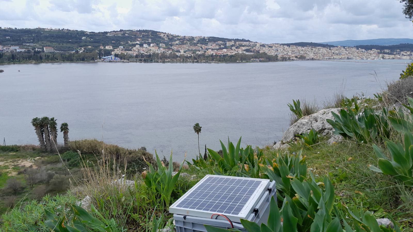 Εικόνα επιλογής