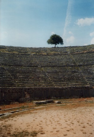 Εικόνα επιλογής