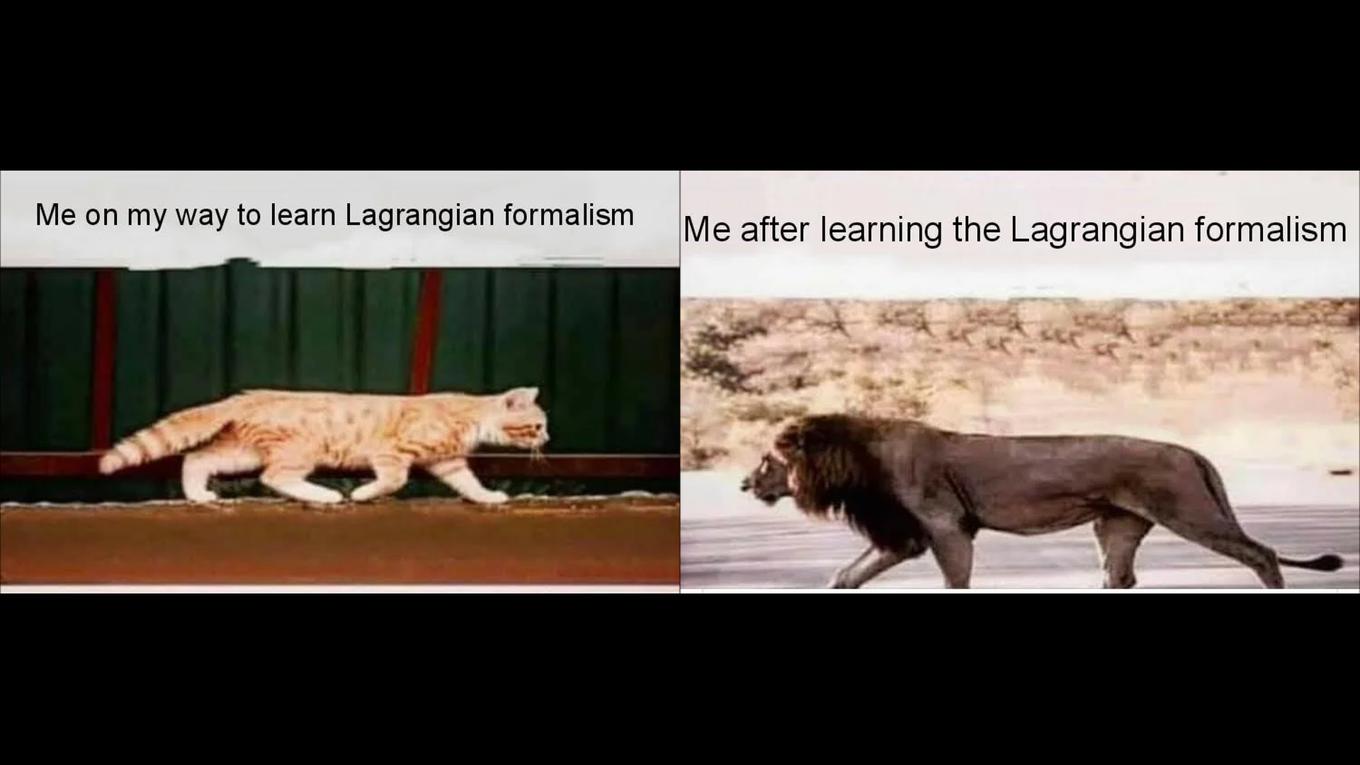 Εικόνα επιλογής