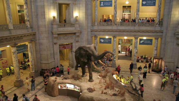 Εικόνα επιλογής