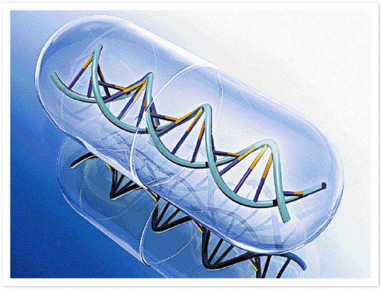 Εικόνα επιλογής