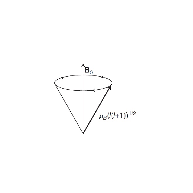 Εικόνα επιλογής