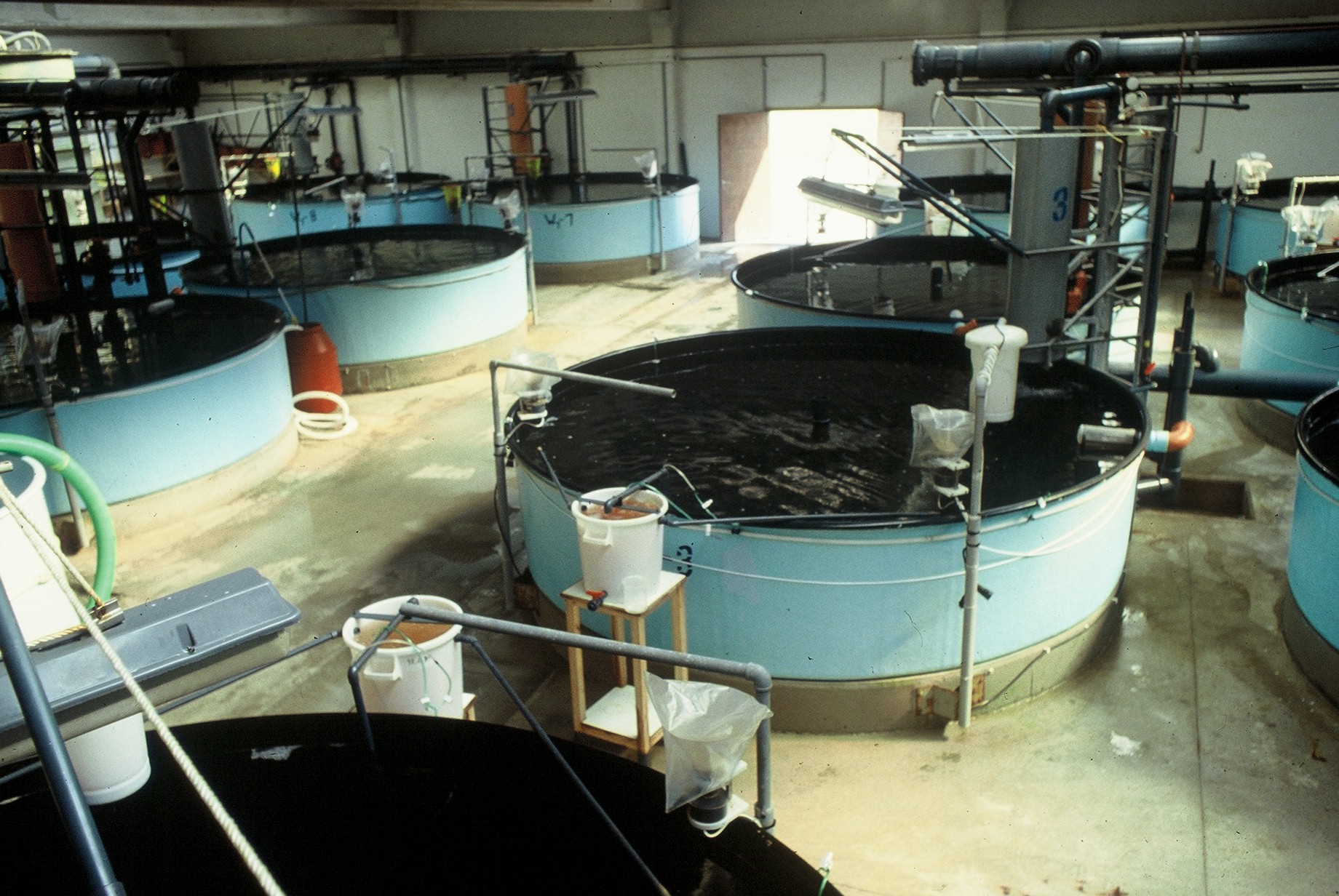 Εικόνα επιλογής